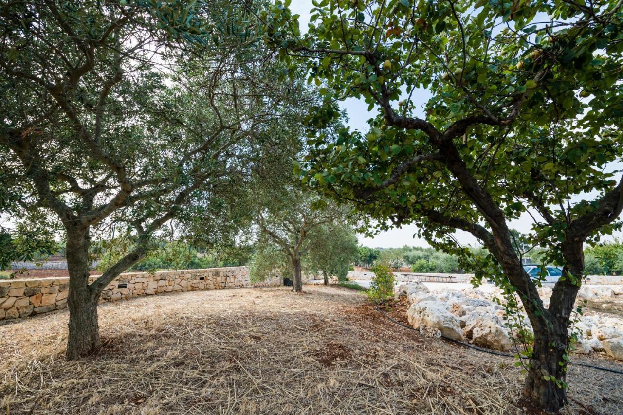 Masseria Mezza Ruota Алберобело Екстериор снимка