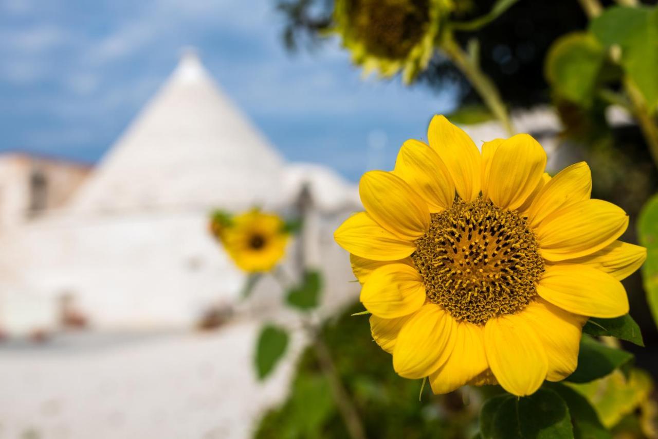 Masseria Mezza Ruota Алберобело Екстериор снимка